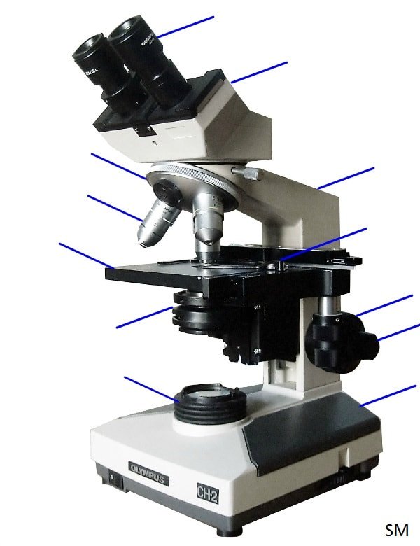 S10 UC Ch1 Microscope Parts - Mr. Montgomery